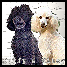 dogs Tuffy & Mitsy